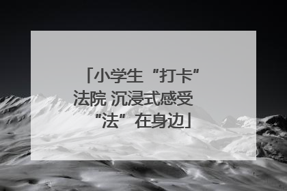 小学生“打卡”法院 沉浸式感受“法”在身边