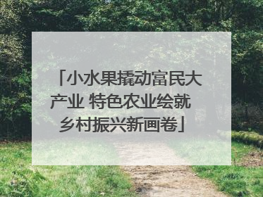 小水果撬动富民大产业 特色农业绘就乡村振兴新画卷
