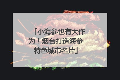 小海参也有大作为！烟台打造海参特色城市名片
