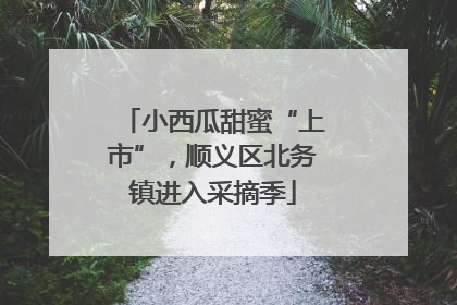 小西瓜甜蜜“上市”，顺义区北务镇进入采摘季