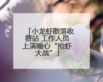 小龙虾散落收费站 工作人员上演暖心“抢虾大战”