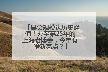 展会规模达历史峰值！办至第25年的上海老博会，今年有啥新亮点？