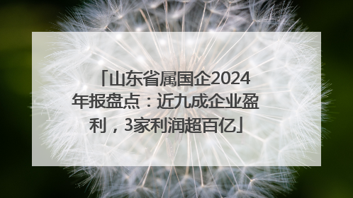 山东省属国企2024年报盘点：近九成企业盈利，3家利润超百亿
