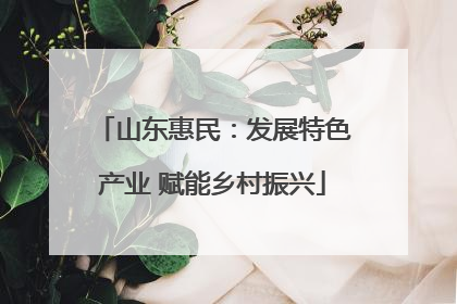 山东惠民：发展特色产业 赋能乡村振兴