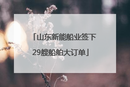 山东新能船业签下29艘船舶大订单