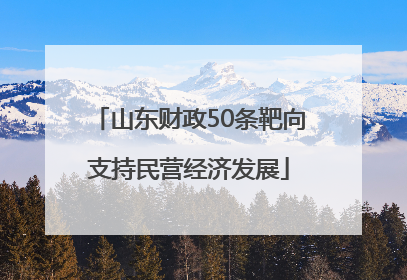 山东财政50条靶向支持民营经济发展