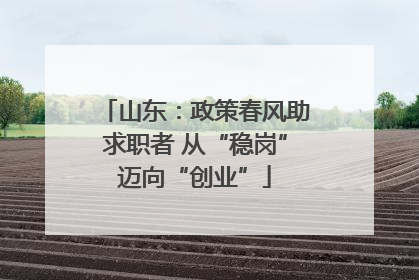山东：政策春风助求职者 从“稳岗”迈向“创业”