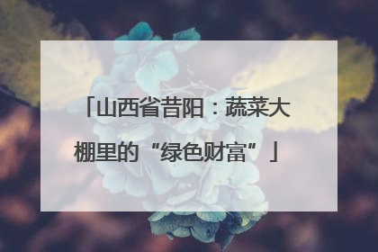 山西省昔阳：蔬菜大棚里的“绿色财富”