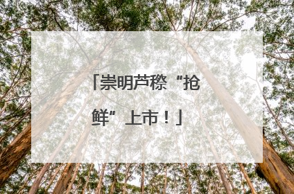 崇明芦穄“抢鲜”上市！