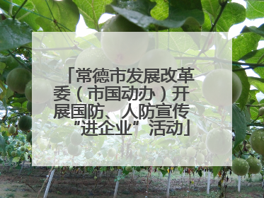 常德市发展改革委（市国动办）开展国防、人防宣传“进企业”活动