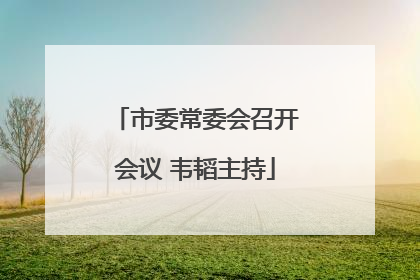市委常委会召开会议 韦韬主持