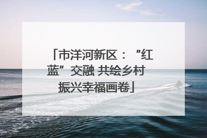 市洋河新区：“红蓝”交融 共绘乡村振兴幸福画卷
