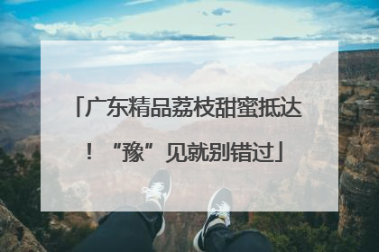 广东精品荔枝甜蜜抵达！“豫”见就别错过