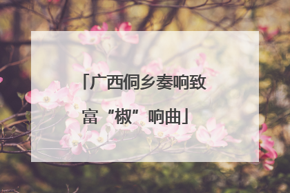 广西侗乡奏响致富“椒”响曲