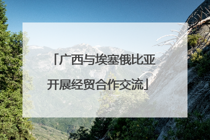 广西与埃塞俄比亚开展经贸合作交流