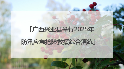 广西兴业县举行2025年防汛应急抢险救援综合演练