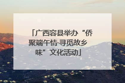 广西容县举办“侨聚端午情·寻觅故乡味”文化活动