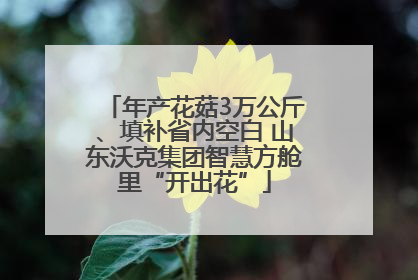 年产花菇3万公斤、填补省内空白 山东沃克集团智慧方舱里“开出花”