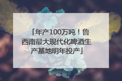 年产100万吨！鲁西南最大现代化啤酒生产基地明年投产