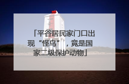 平谷居民家门口出现“怪鸟”，竟是国家二级保护动物