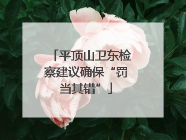 平顶山卫东检察建议确保“罚当其错”