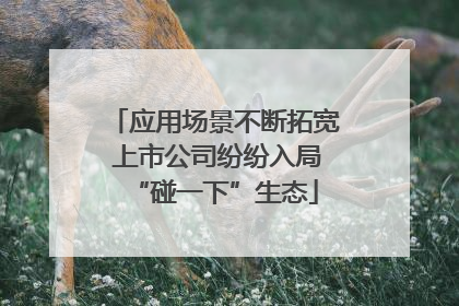 应用场景不断拓宽 上市公司纷纷入局“碰一下”生态