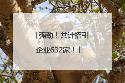 强劲！共计招引企业632家！