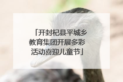 开封杞县平城乡教育集团开展多彩活动喜迎儿童节