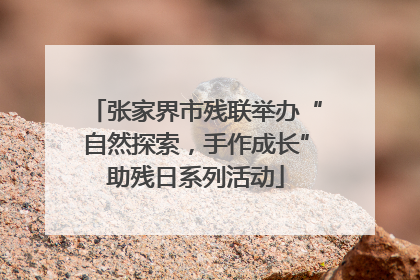 张家界市残联举办“自然探索，手作成长”助残日系列活动