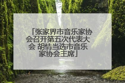 张家界市音乐家协会召开第五次代表大会 胡情当选市音乐家协会主席