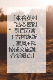 张谷英村“活态密码”引百万客！古村焕新，家风+科技成文旅融合新爆点