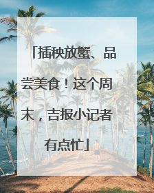 插秧放蟹、品尝美食！这个周末，吉报小记者有点忙