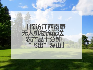 探访江西南康无人机物流配送 农产品十分钟“飞出”深山