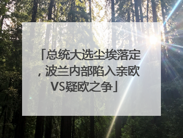 总统大选尘埃落定，波兰内部陷入亲欧VS疑欧之争