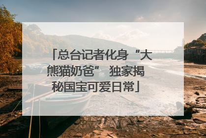 总台记者化身“大熊猫奶爸” 独家揭秘国宝可爱日常