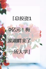 总投资10亿元！梅溪湖畔来了一所大学