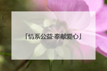 情系公益·奉献爱心