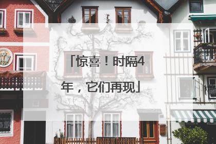 惊喜！时隔4年，它们再现