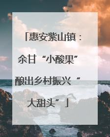惠安紫山镇：余甘“小酸果”酿出乡村振兴“大甜头”
