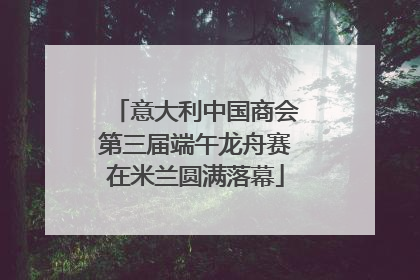 意大利中国商会第三届端午龙舟赛在米兰圆满落幕