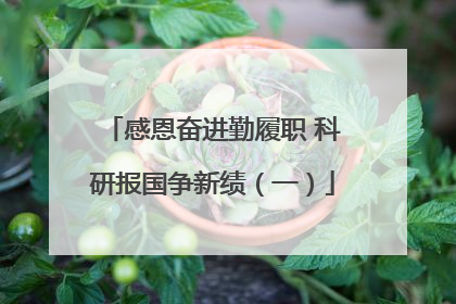 感恩奋进勤履职 科研报国争新绩（一）