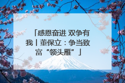 感恩奋进 双争有我丨董保立：争当致富“领头雁”