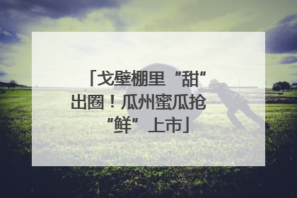 戈壁棚里“甜”出圈！瓜州蜜瓜抢“鲜”上市