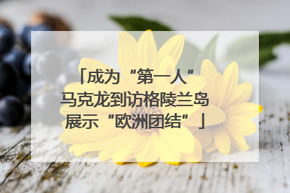 成为“第一人” 马克龙到访格陵兰岛展示“欧洲团结”