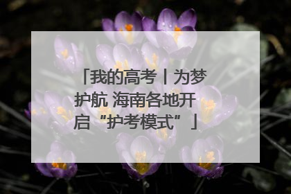 我的高考丨为梦护航 海南各地开启“护考模式”