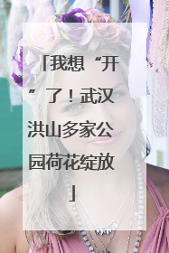 我想“开”了！武汉洪山多家公园荷花绽放