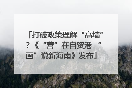 打破政策理解“高墙”？《“营”在自贸港 “画”说新海南》发布