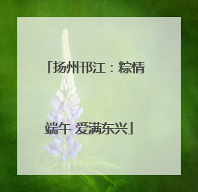 扬州邗江：粽情端午 爱满东兴