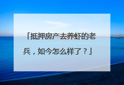 抵押房产去养虾的老兵，如今怎么样了？