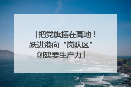 把党旗插在高地！跃进港向“岗队区”创建要生产力